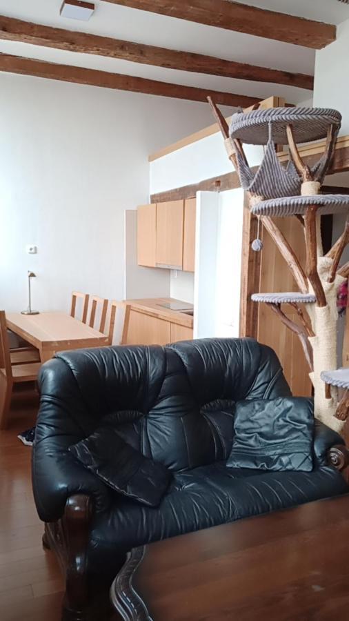 Apartament Bydleni V Centru Ov Blizko Stodolni, Bez Vytahu Ostrawa Zewnętrze zdjęcie