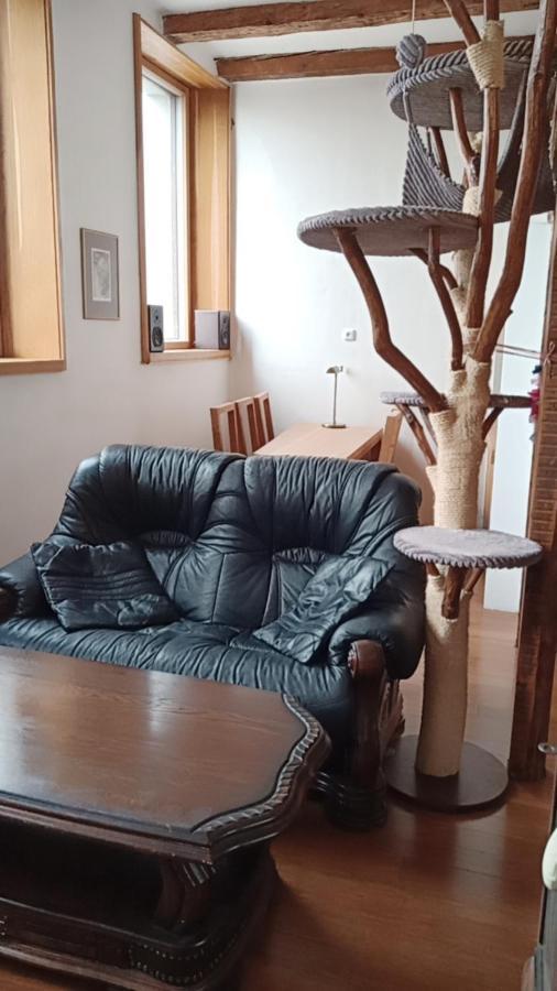 Apartament Bydleni V Centru Ov Blizko Stodolni, Bez Vytahu Ostrawa Zewnętrze zdjęcie