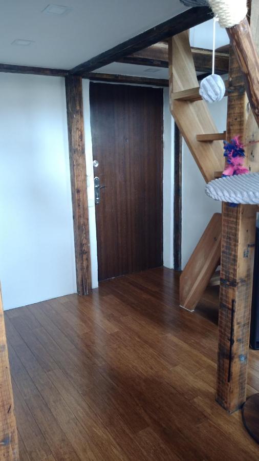 Apartament Bydleni V Centru Ov Blizko Stodolni, Bez Vytahu Ostrawa Zewnętrze zdjęcie